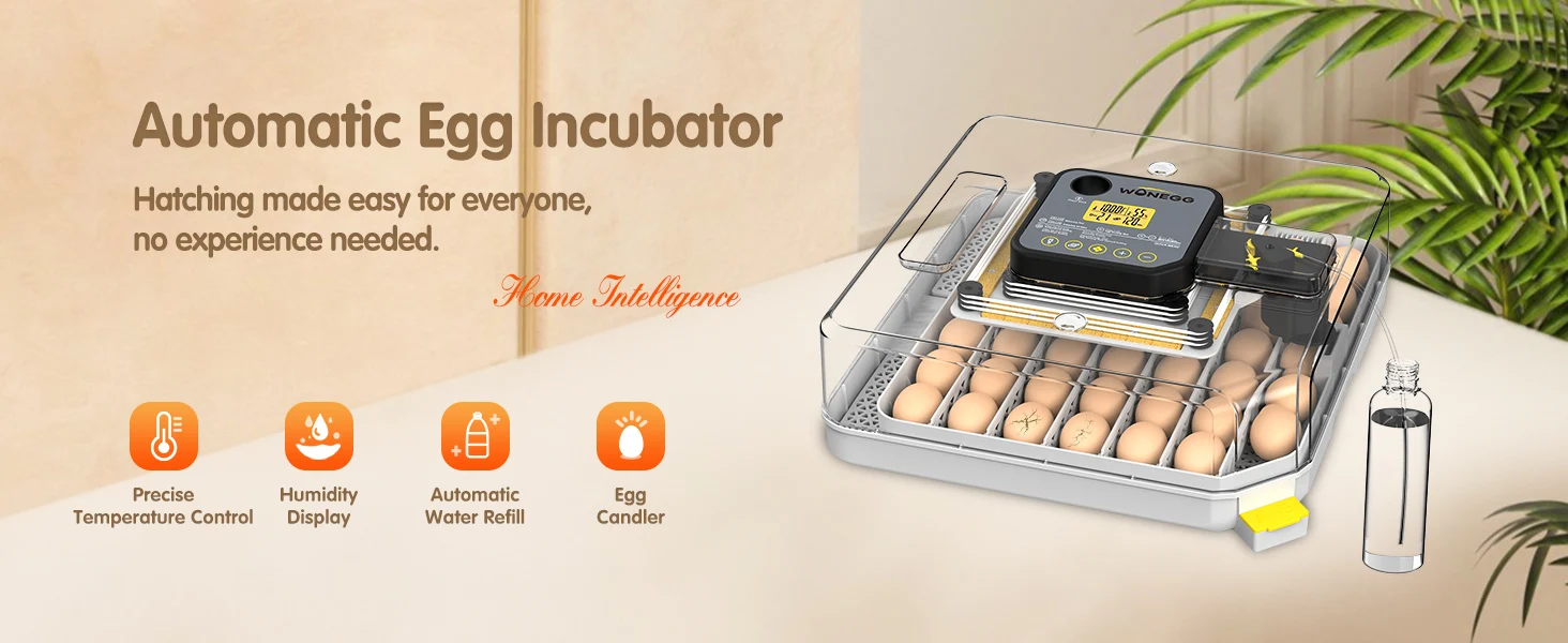 egg incubator overview