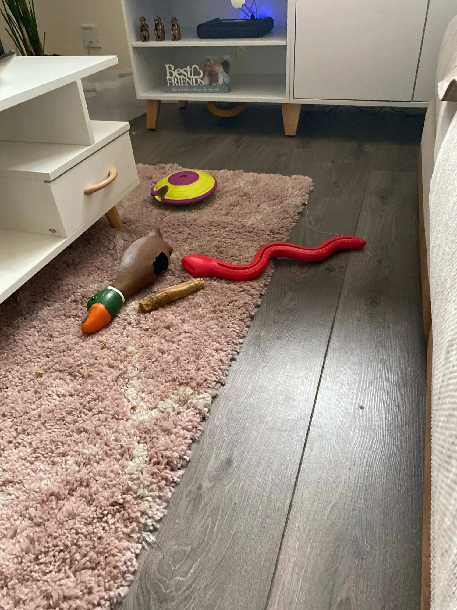 Paw Planet Interactive Treat Toy,  Engage, Entertain, and Treat Your Pup photo review