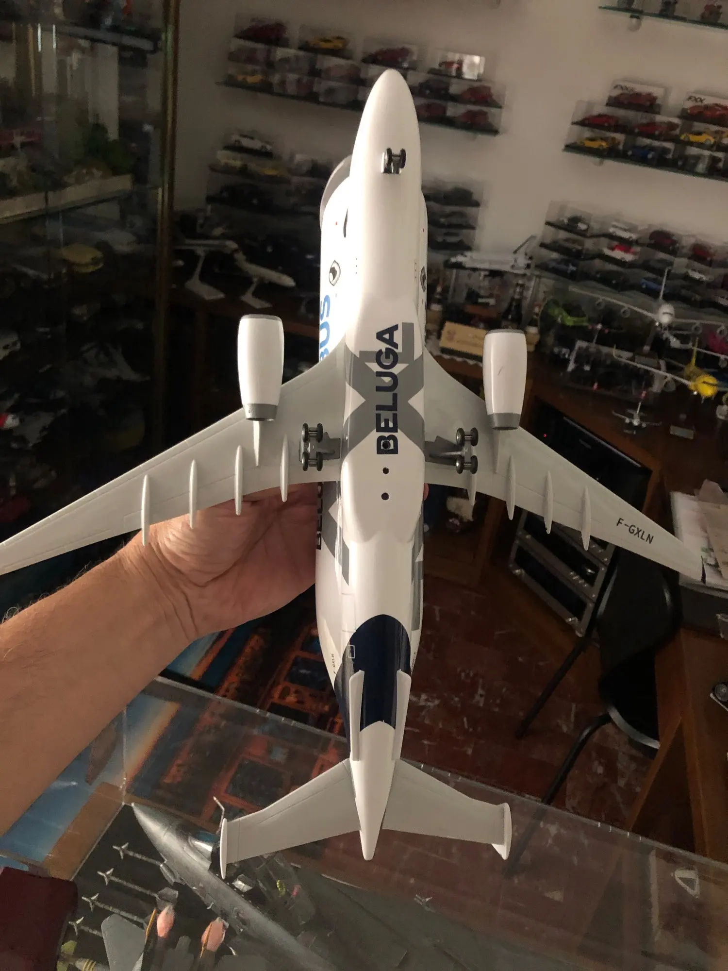 Airbus Beluga - Scale 1/150 - 42cm - 16.5in – Flying Dreams International