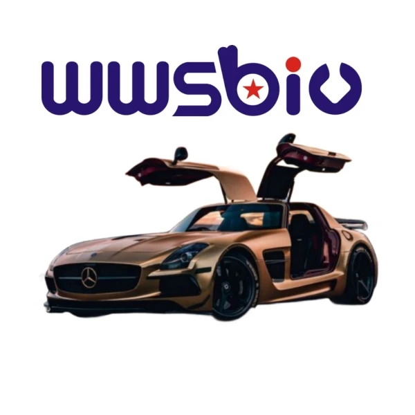 WWSBIU AUTO PRATS Store