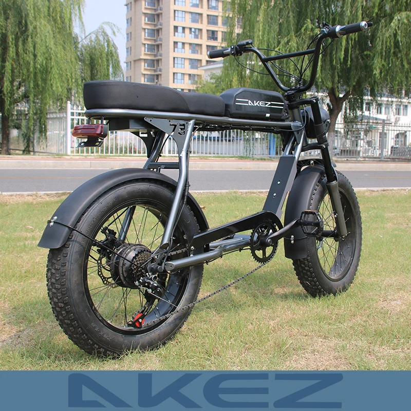 성인용 전기 자전거, 브러시리스 모터, 탈착식 배터리, 비치 마운틴 스노우, 20 인치, 1500W, 48V, 18Ah