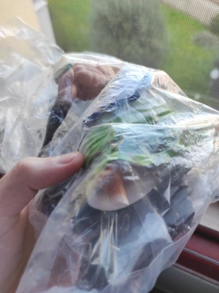 Figura de Acción One Piece Roronoa Zoro GK 20cm photo review