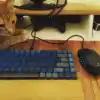 Изображение товара 3