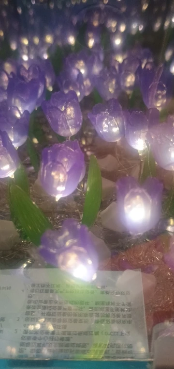 Creative Diy Tulip Flower Sea Cube Three-Dimensional Small Night Lamp photo review