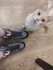 Изображение товара 1