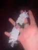 Изображение товара 3
