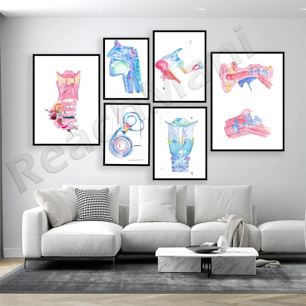 

ENT, inner ear anatomy art, speech pathology art, SLP gift, ORL laryngology audiology logo therapy therapist gift poster