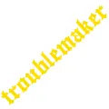 Image 21