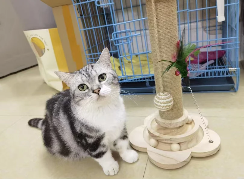 Cat Tower Durable Sisal Scratching Board Tree Pet Cat Toy Solid Wood Cat Turntable Cat Scratching Posts photo review