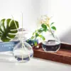 Spherical Glass Bottles with Cork  Round Potion Bottles Clear  Decor Decorative Glass Sphere Jar for Sand Costume Props 6