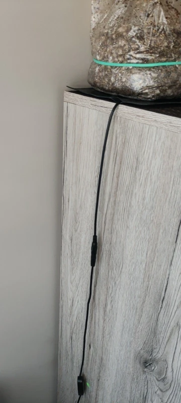 USB Pet Heating Pad Reptile Heat Mat Electric Blanket Heater Incubator Mat photo review