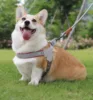 Pet dog leash vest-style pet chest harness dog walking rope small, medium and large dogs outdoor dog walking traction supplies 4