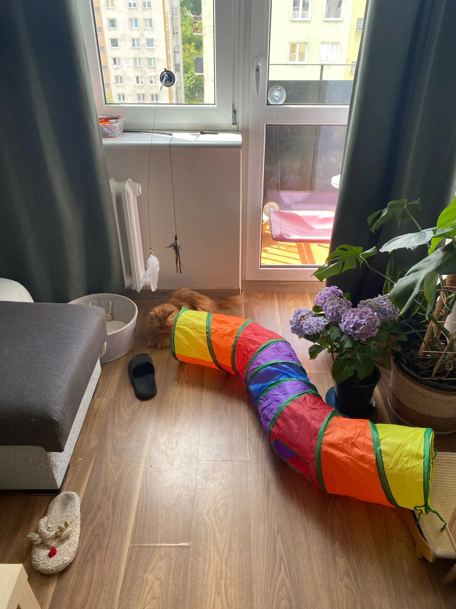 Cat Tunnel Foldable Cat Tunnel Pet Supplies Cat S T Y Pass Play Tunnel Cat Toy photo review