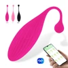 Vibrating Vagina Balls Bluetooth Vibrator Sex Toys for Women Anal Clitoris Stimulation Wireless APP Panties Vibrator for Women 1