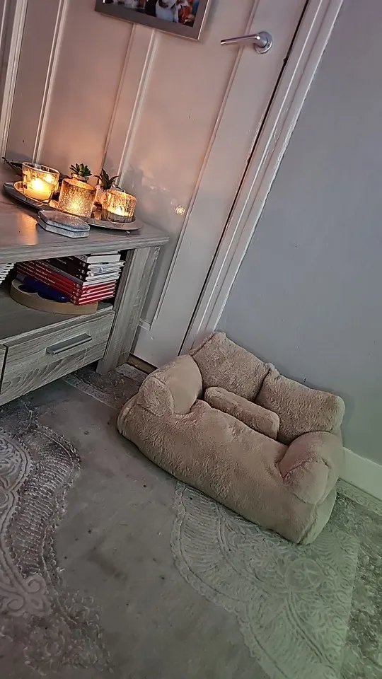 Pet Bed Sofa, customer photo