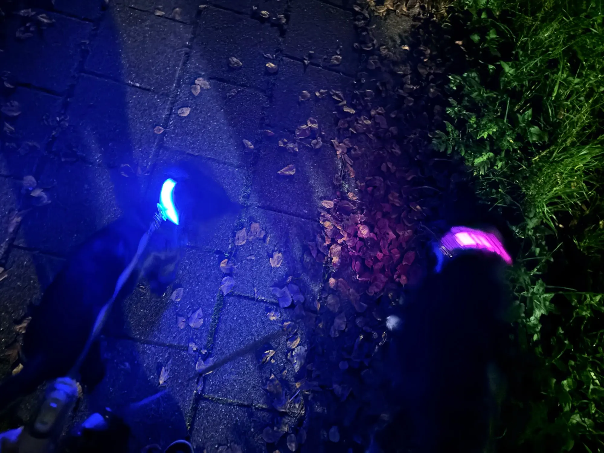 GlowSafe – Leuchtendes Halsband & Leine für maximale Sichtbarkeit bei Nacht photo review