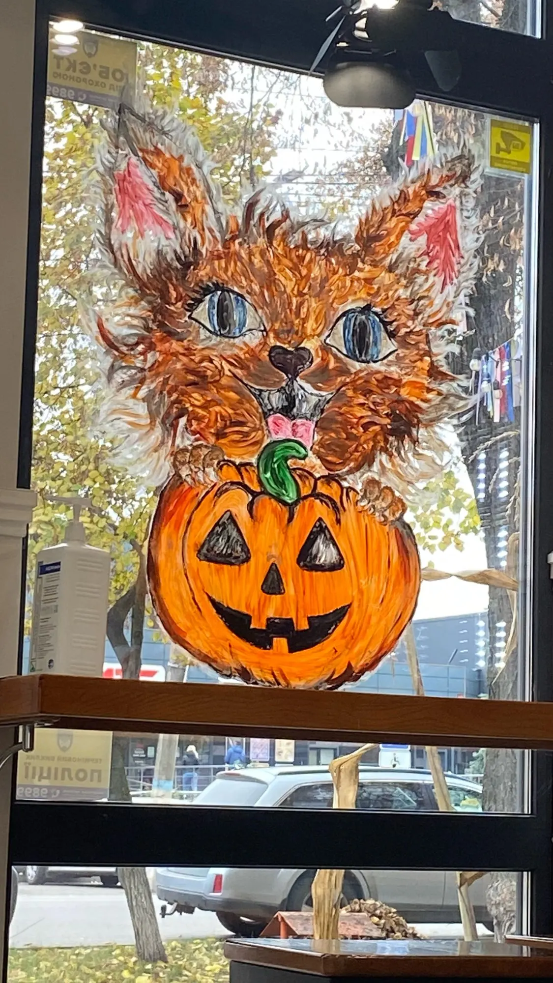 Kids Playmat Waterproof Non-Toxic Educational Rug for Toddlers - Dino photo review