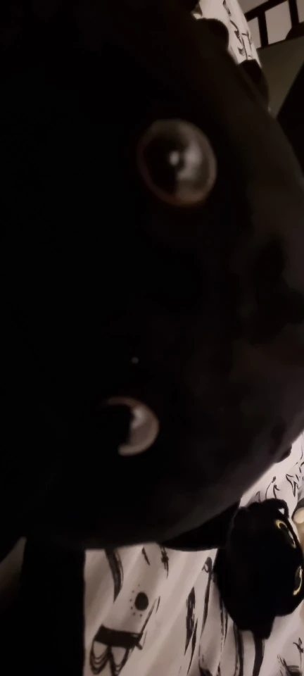 Super Aranha Fofeza® de Pelúcia