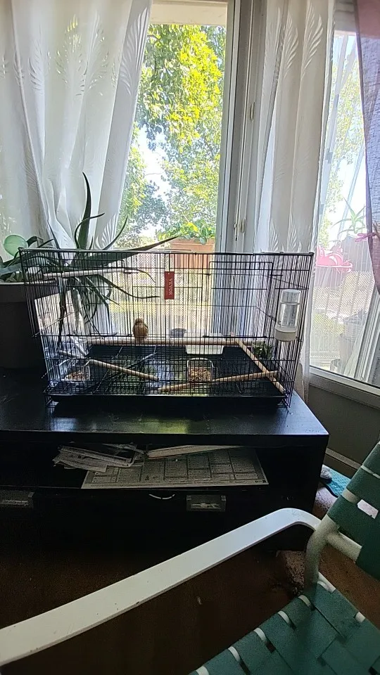 30In Flight Bird Cage Stackable Divided Small Animal Cage for Kinds of Birds Pet Travel Birdcage with Handle and Perche