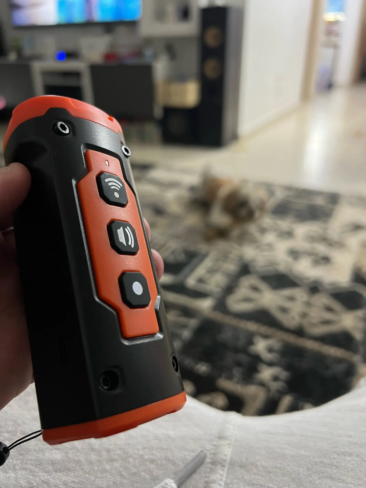 Ultrasonic Dog Bark Control Device – Humane Training Solution for Your Dog photo review
