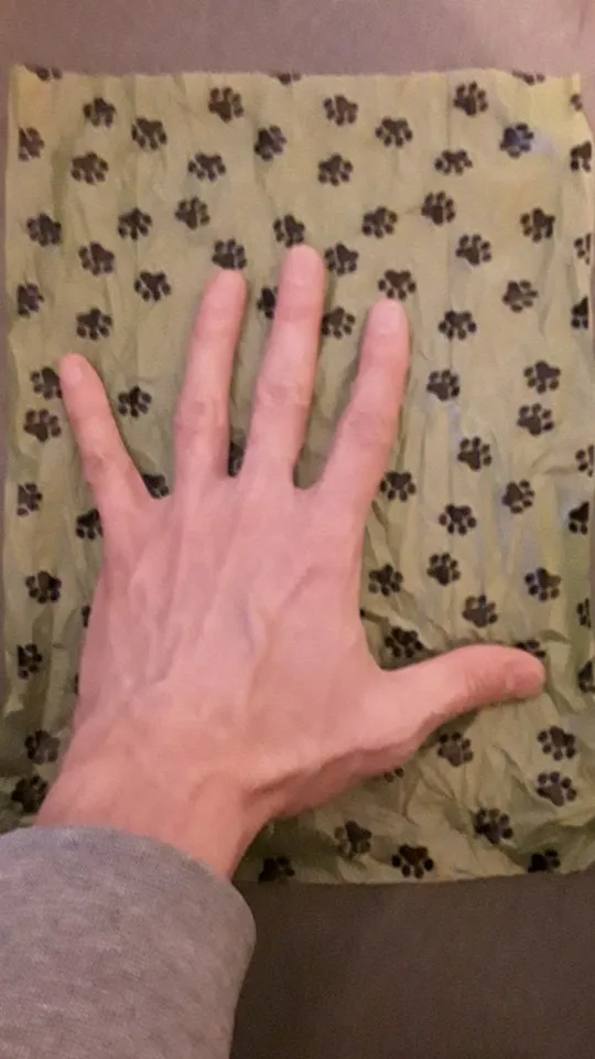 240pcs/16Rolls Thick Dog Poop Bags, Leak Proof Pet Waste Bag For Dog Outdoor Walking photo review