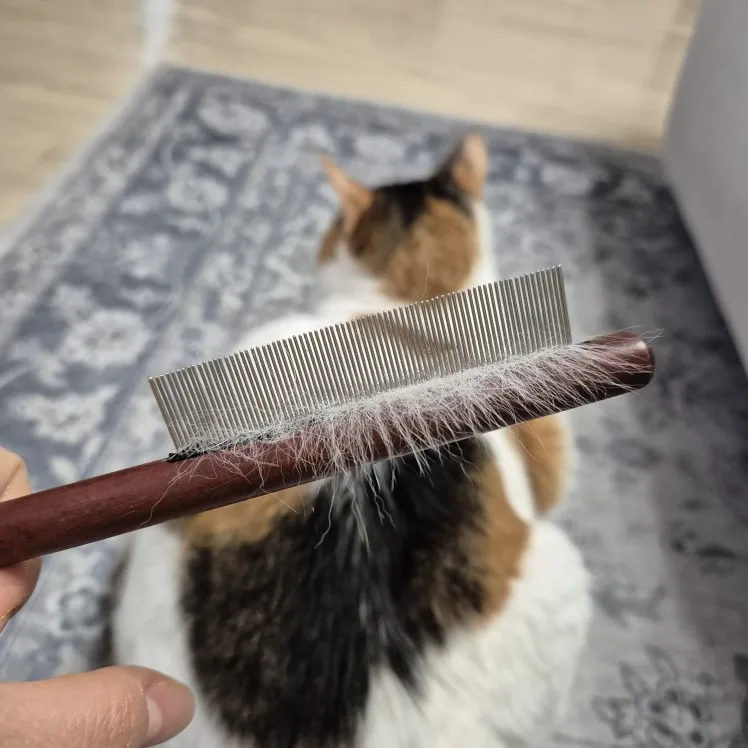 Cat Comb Cat Comb Brush Long Hair Cat Needle Comb Open Knots To Remove photo review