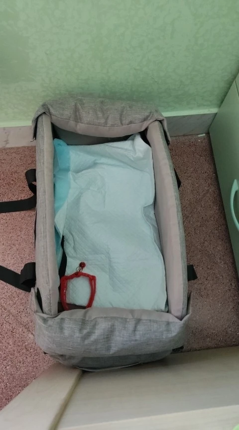 Siège Auto Central pour Petit Chien – Sac de Transport Sécurisé et Portable