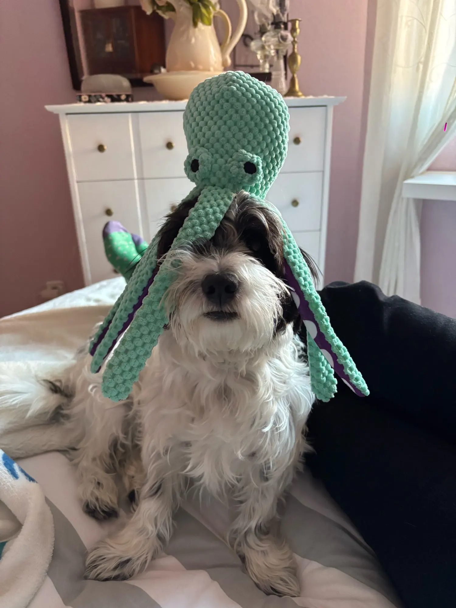 Perro mascota peluche pulpo juguete interactivo sonido anti-demolición hogar perro grande y pequeño aburrimiento compañero juguete photo review