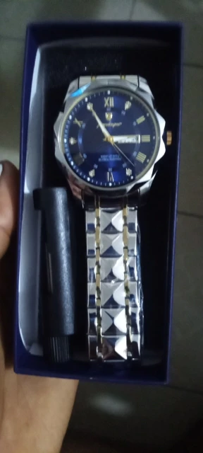 POEDAGAR Luxury Man Wristwatch photo review