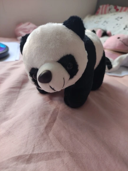 Cute Baby Panda Plush Pillow - Soft Stuffed Gift for Kids photo review