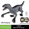 Upgraded Chargeable Remote Control Dinosaur Toys Kids Jurassic Dinosaur Simulation Velociraptor Toy With LED Light And Roaring 2