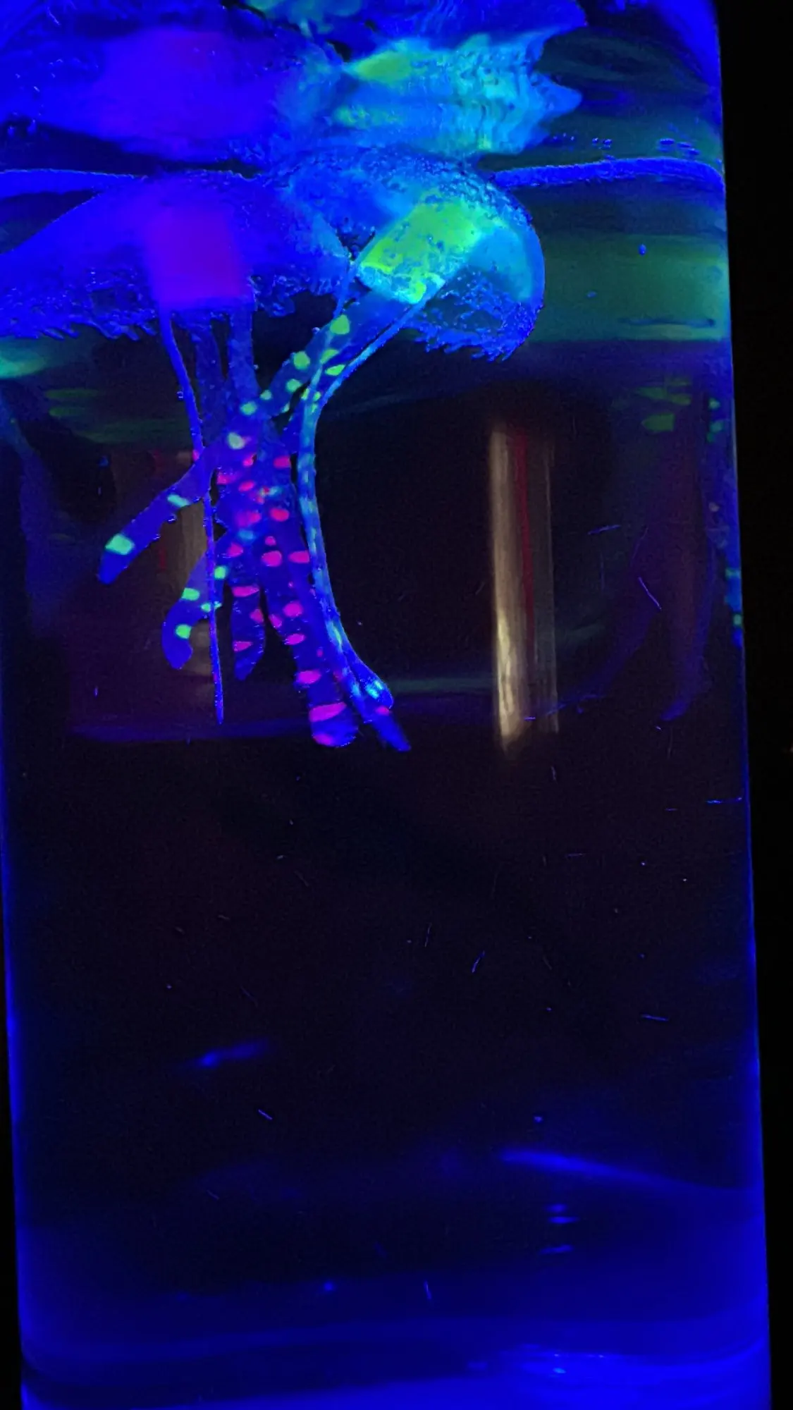 3-Size USB Jellyfish Lamp - Color Changing LED Night Light photo review