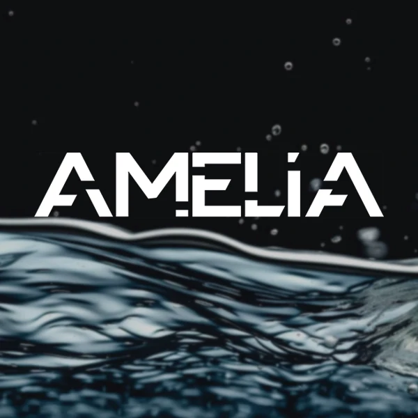 Amelia Professional Beautiful Life Digital Store