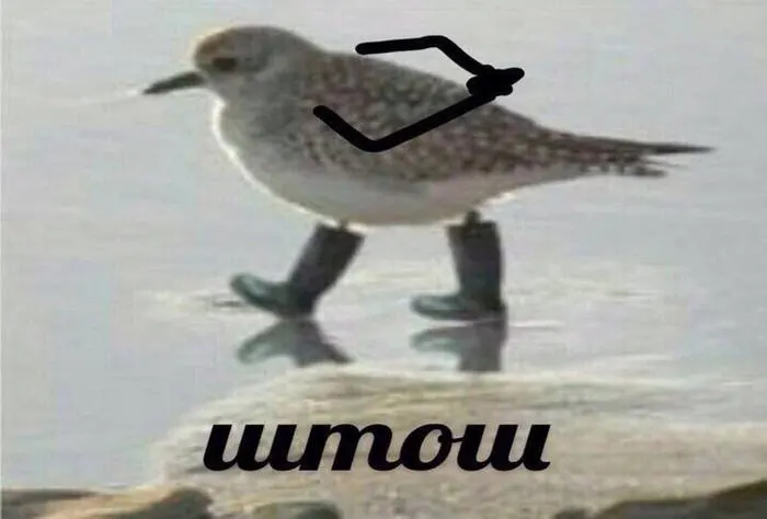 Portable Home Theater Mini 3D Projector 4K Display photo review