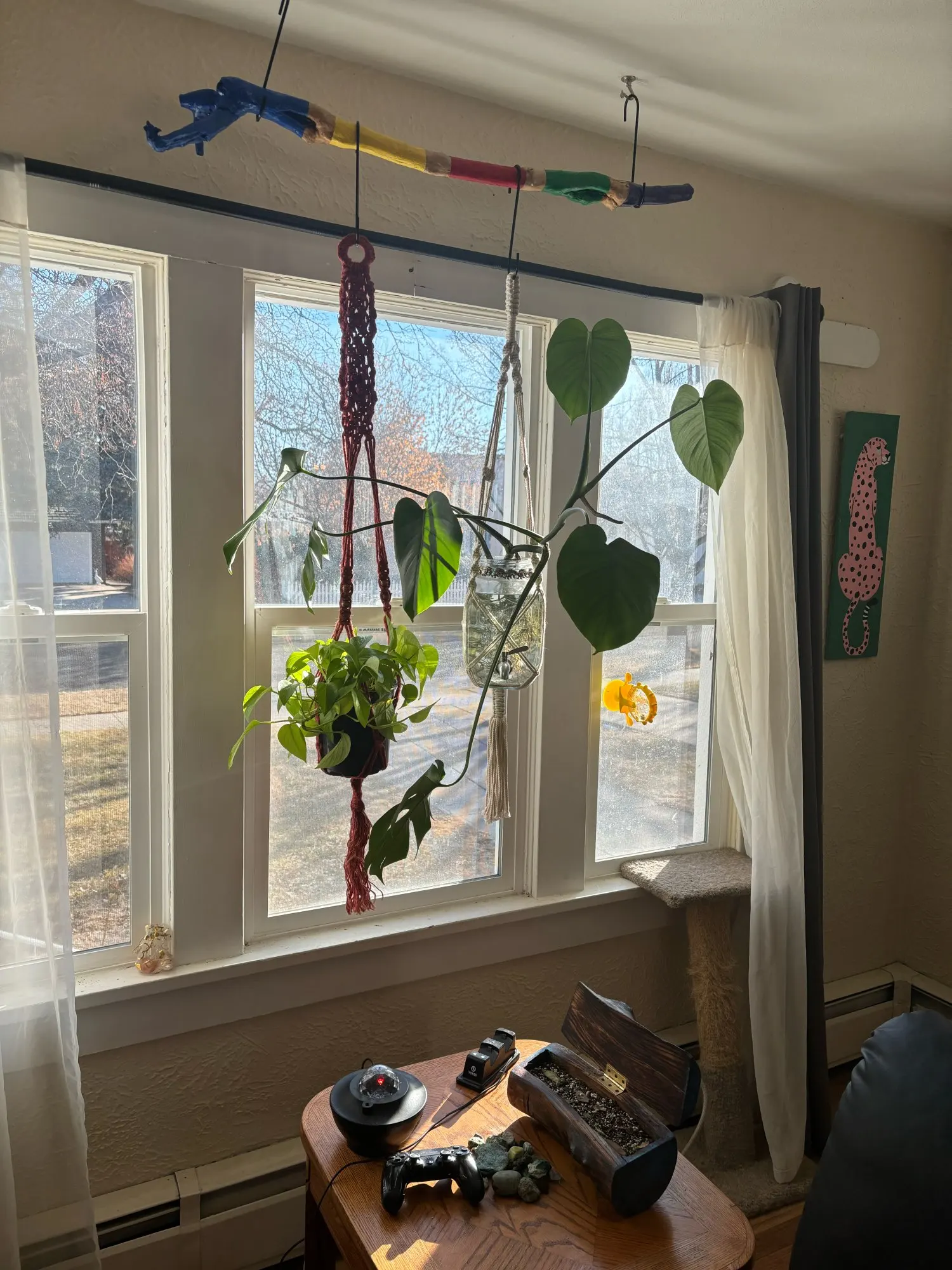 Paw Puzzle, Interactive Treat Dispenser for Cats and Small Dogs, Boosting IQ and Fun photo review