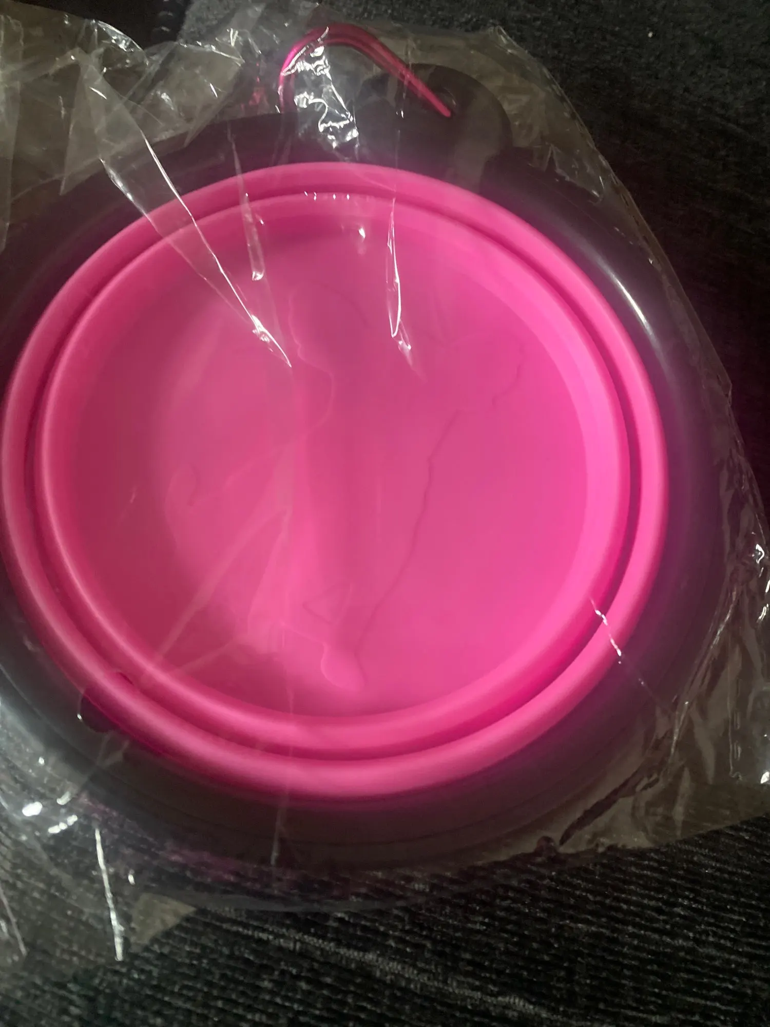 Foldable Food And Water Silicone Bowl For Dog photo review