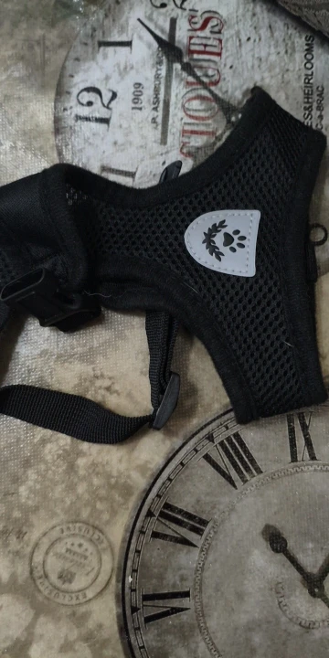 Summer Cat Dog Harness Lead Leash Adjustable Vest Polyester Mesh photo review