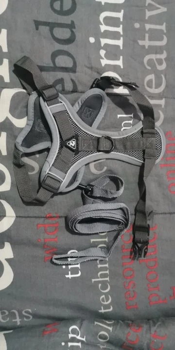 Halsband - Verstellbar, Reflektierend & Komfortabel für kleine Hunde und Katzen photo review