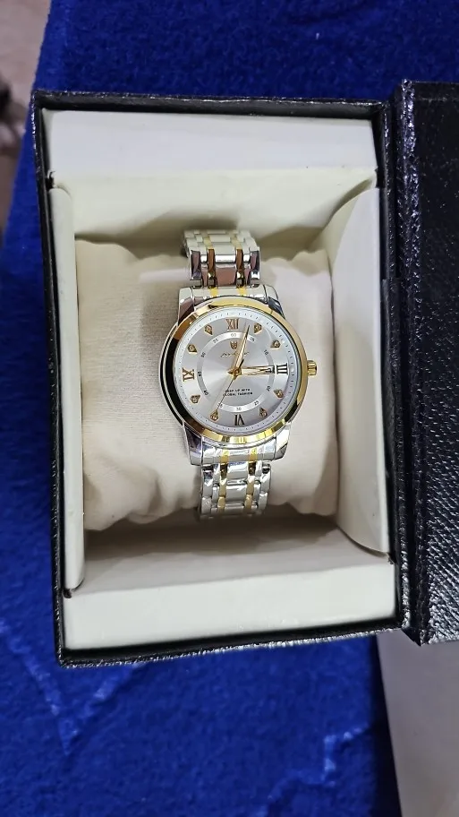 POEDAGAR Luxury Watch for Men photo review