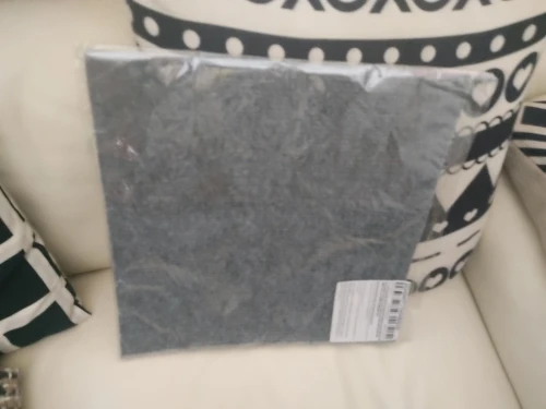 Sofa Saver Cat Scratch Mat photo review