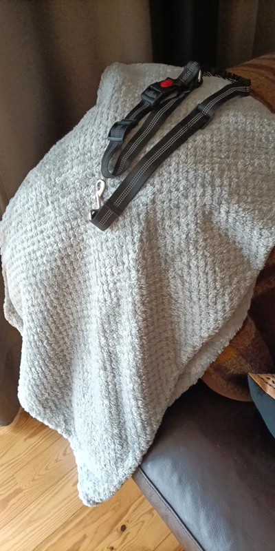 Cozy Paws Coral Fleece Dog Blanket: Soft Comfort for Bath Time and Nap Time photo review