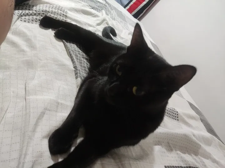 Lanterna Tática Militar X900 Profissional com Zoom Sinalizador Recarregável Luz Camping photo review