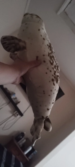 Foquinha Serena Fofeza® de Pelúcia