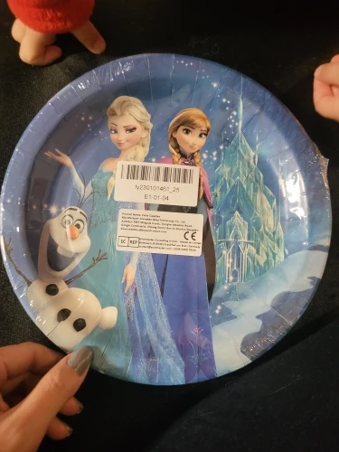 Frozen Birthday Party Decorations Kit photo review