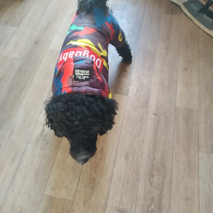 Customer photo