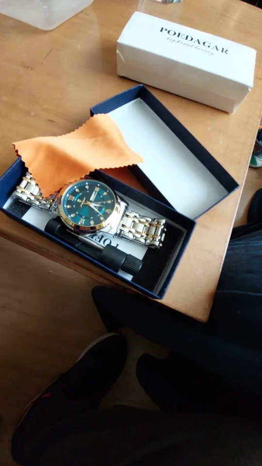 POEDAGAR Luxury Watch for Men photo review