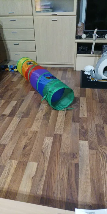 foldable Cat Tunnel Toy photo review