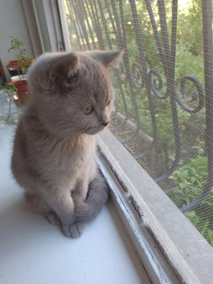 Essager 7A 100W USB Type C Cable For Huawei Honor 88W PD Fast Charging Charger USB A Data Cord Cable For Xiaomi Oneplus Samsung photo review