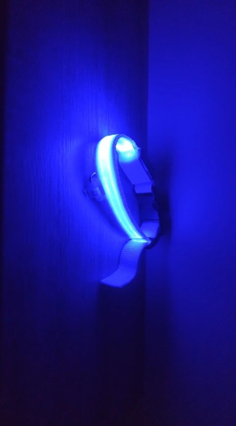 GlowSafe – Leuchtendes Halsband & Leine für maximale Sichtbarkeit bei Nacht photo review