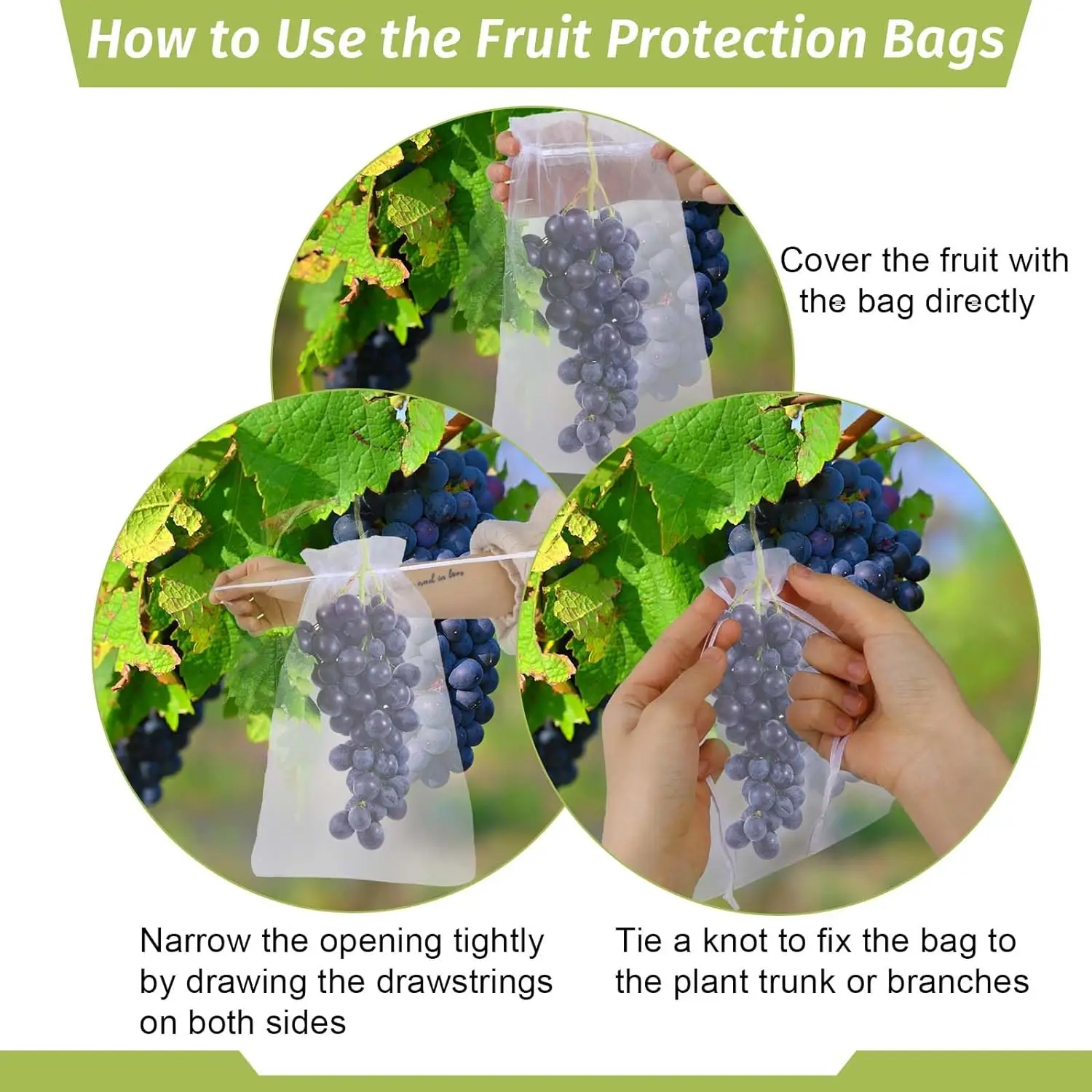 Slide image a247044b9c6247618c9fb47adf508b0b